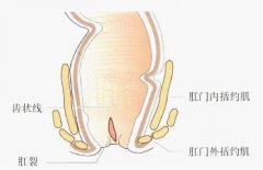 肛裂pilesask出现的症状表现有什么?